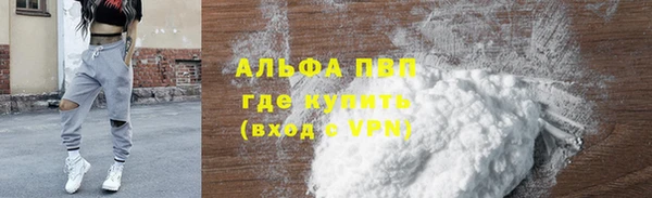 стаф Арсеньев