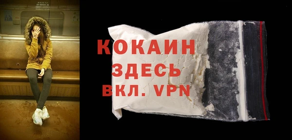 дмт Снежногорск