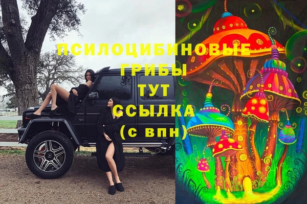 стаф Арсеньев