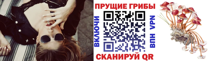 Псилоцибиновые грибы GOLDEN TEACHER  ОМГ ОМГ ONION  Калязин  купить  цена 
